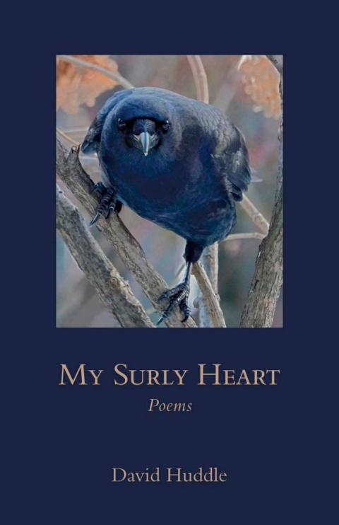 Cover image for book My Surly Heart