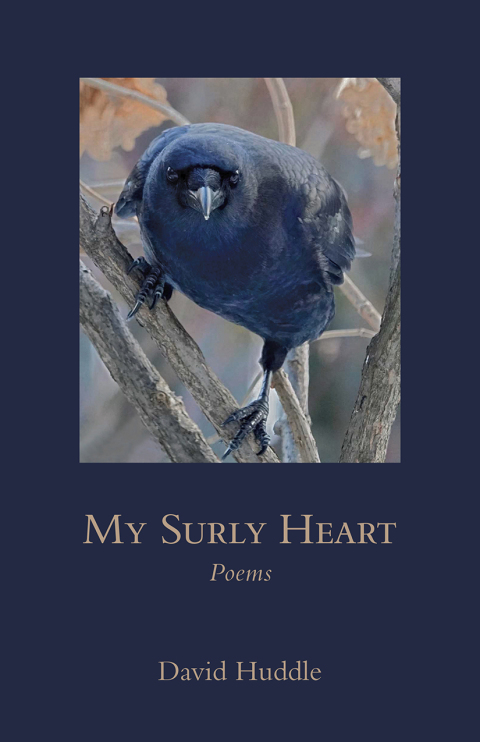 Cover image for book My Surly Heart