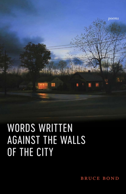 Cover image for book Words Written Against the Walls of the City