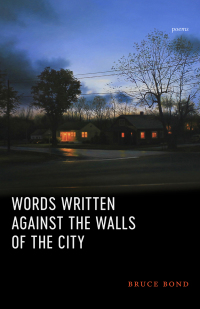 صورة الغلاف: Words Written Against the Walls of the City 9780807170083