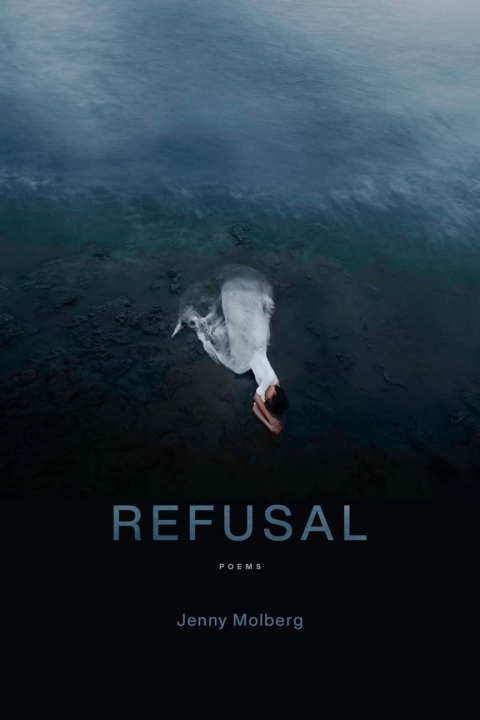 Cover image for book Refusal