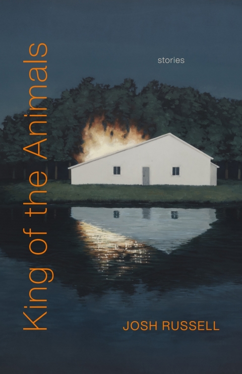 Cover image for book King of the Animals