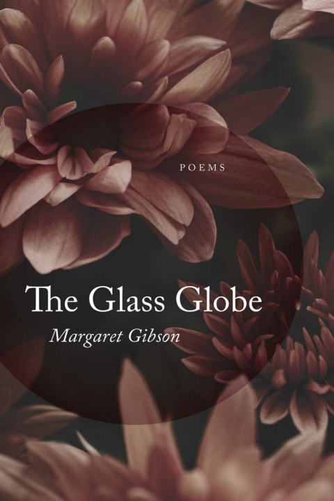 Cover image for book The Glass Globe