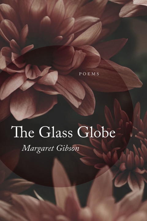Cover image for book The Glass Globe