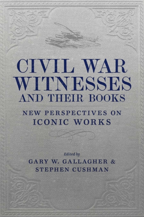 Cover image for book Civil War Witnesses and Their Books