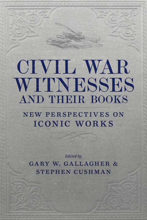 Cover image for book Civil War Witnesses and Their Books