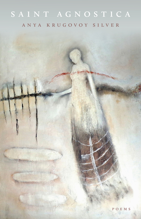 Cover image for book Saint Agnostica