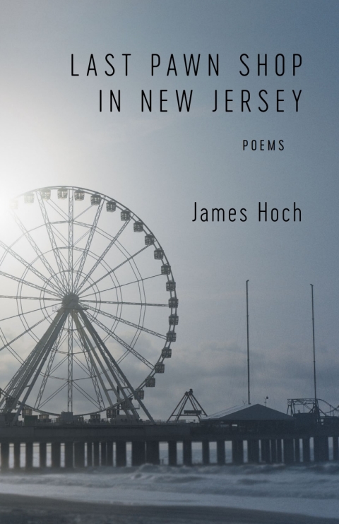 Cover image for book Last Pawn Shop in New Jersey
