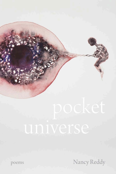 Cover image for book Pocket Universe