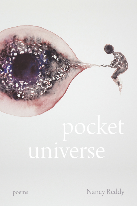 Cover image for book Pocket Universe
