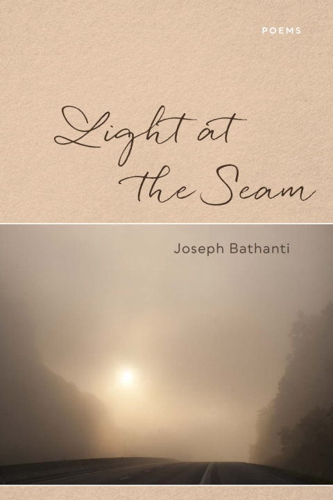 Cover image for book Light at the Seam