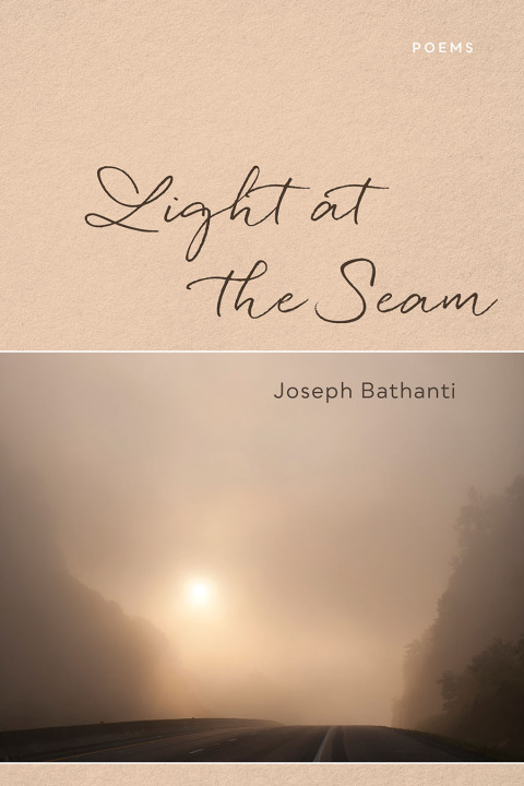 Cover image for book Light at the Seam