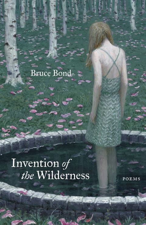 Cover image for book Invention of the Wilderness