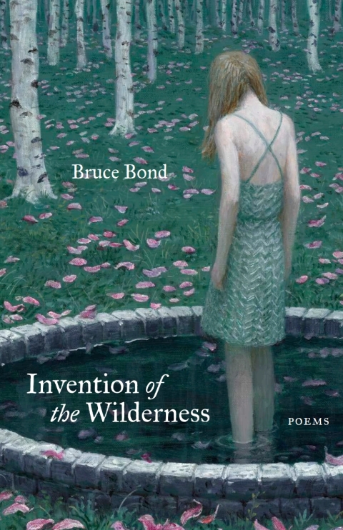 Cover image for book Invention of the Wilderness