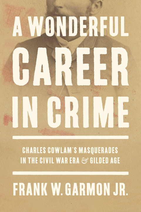 Cover image for book A Wonderful Career in Crime