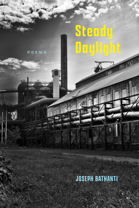 Cover image for book Steady Daylight
