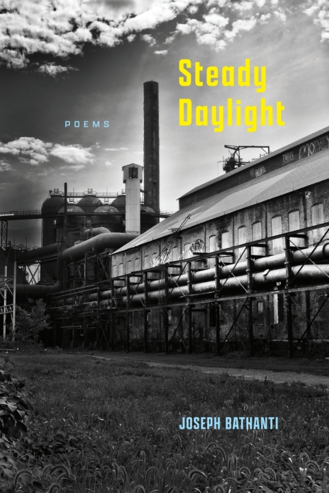 Cover image for book Steady Daylight