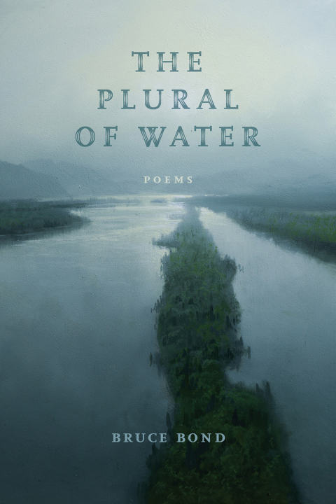 Cover image for book The Plural of Water