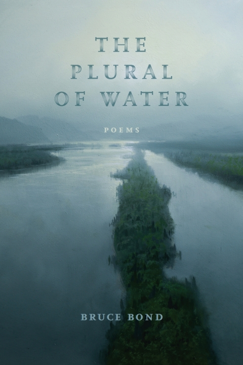 Cover image for book The Plural of Water