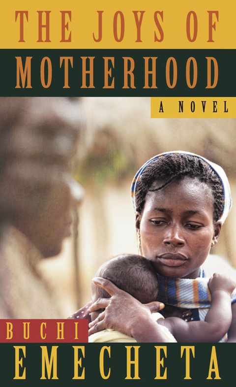 Cover image for book The Joys of Motherhood