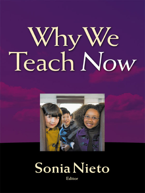 Cover image for book Why We Teach Now