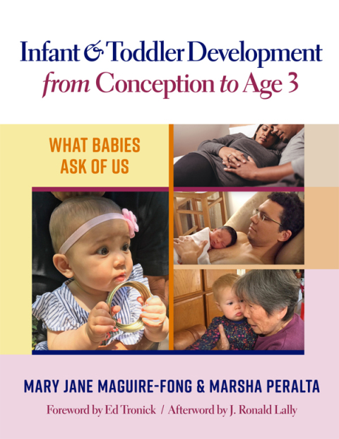 Cover image for book Infant and Toddler Development from Conception to Age 3: What Babies Ask of Us