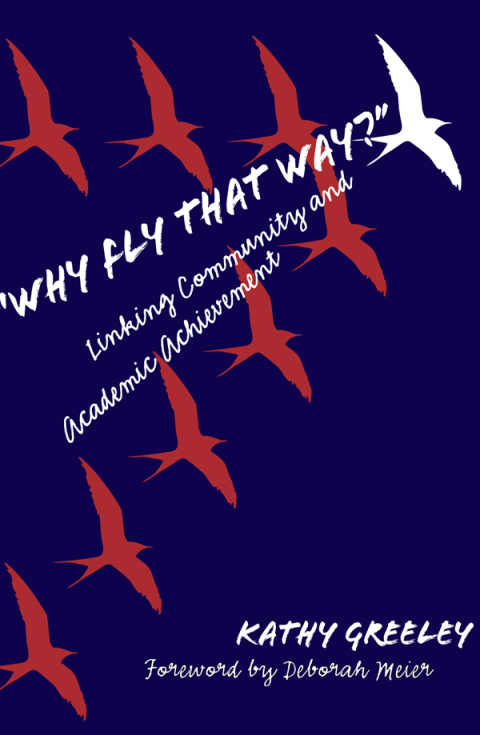 Cover image for book Why Fly That Way? Linking Community and Academic Achievement