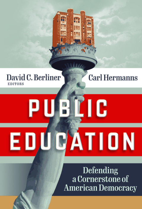 Cover image for book Public Education: Defending a Cornerstone of American Democracy
