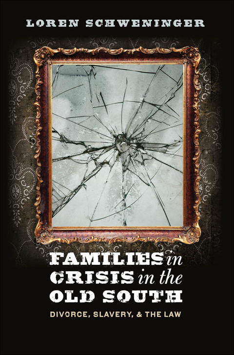 Cover image for book Families in Crisis in the Old South