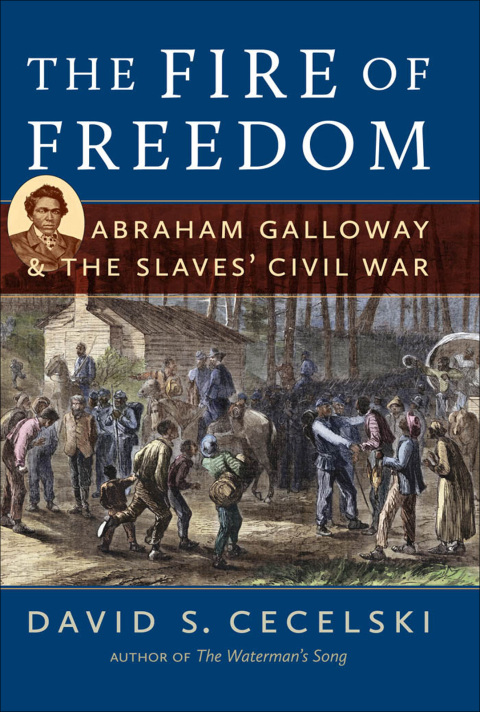 Cover image for book The Fire of Freedom