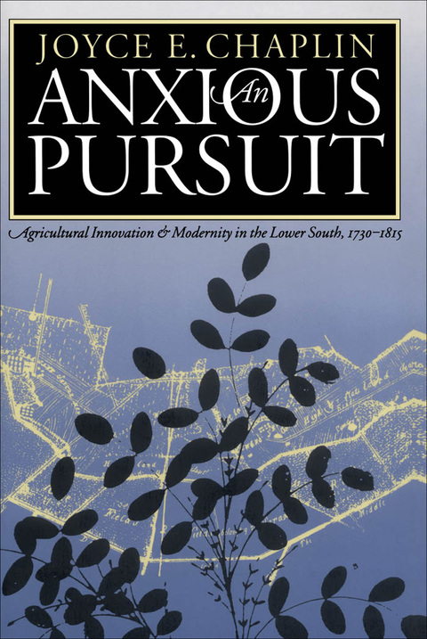 Cover image for book An Anxious Pursuit