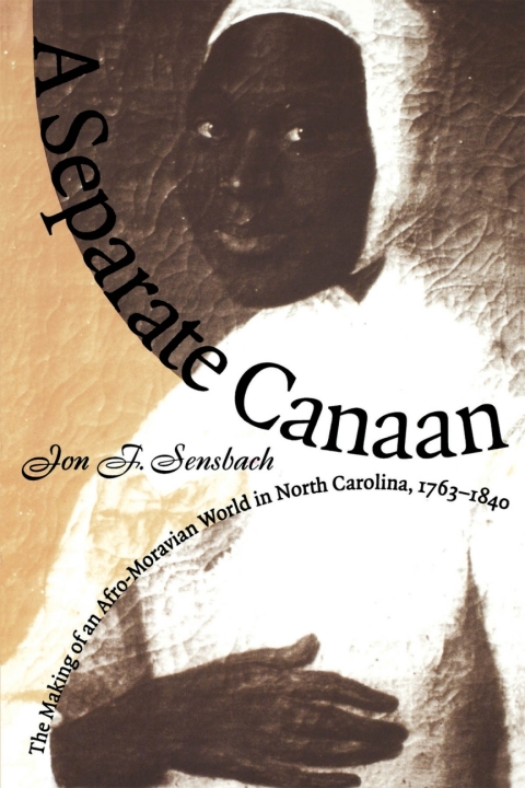 Cover image for book A Separate Canaan