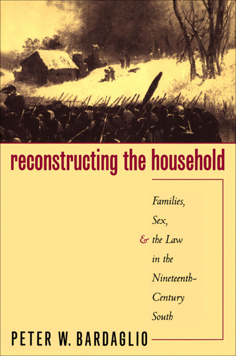 Cover image for book Reconstructing the Household