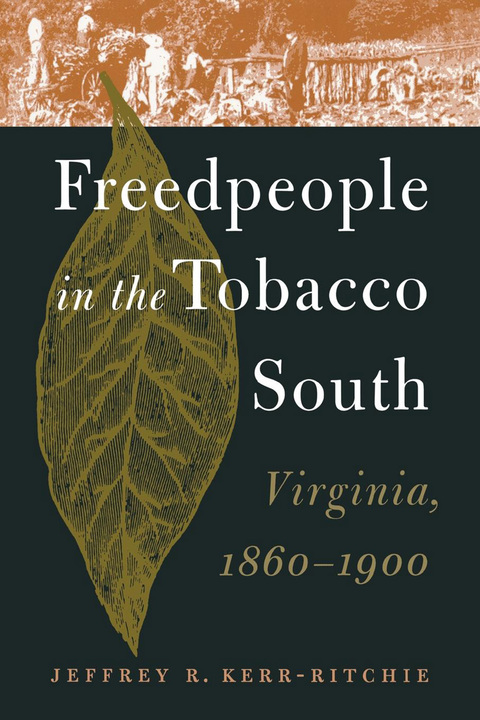 Cover image for book Freedpeople in the Tobacco South