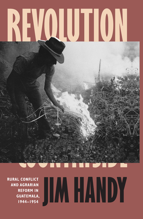 Cover image for book Revolution in the Countryside