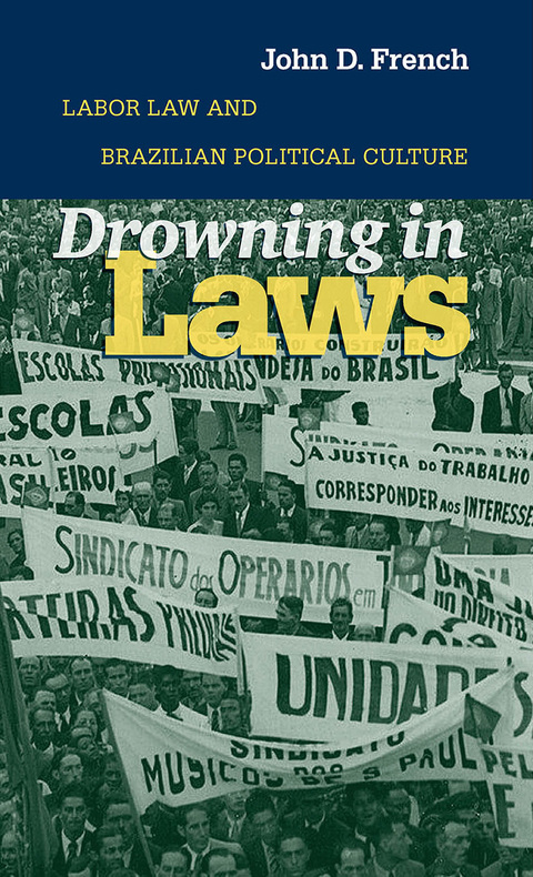 Cover image for book Drowning in Laws