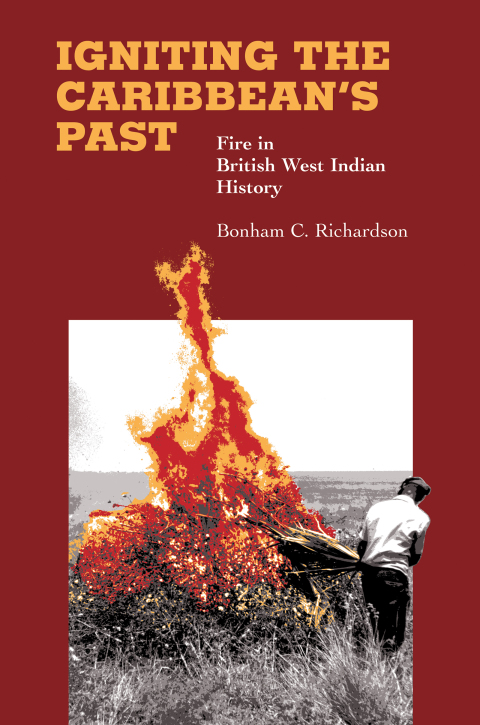 Cover image for book Igniting the Caribbean's Past