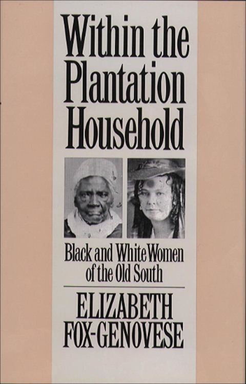 Cover image for book Within the Plantation Household