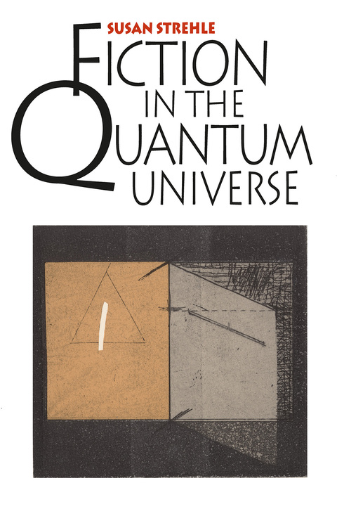 Cover image for book Fiction in the Quantum Universe