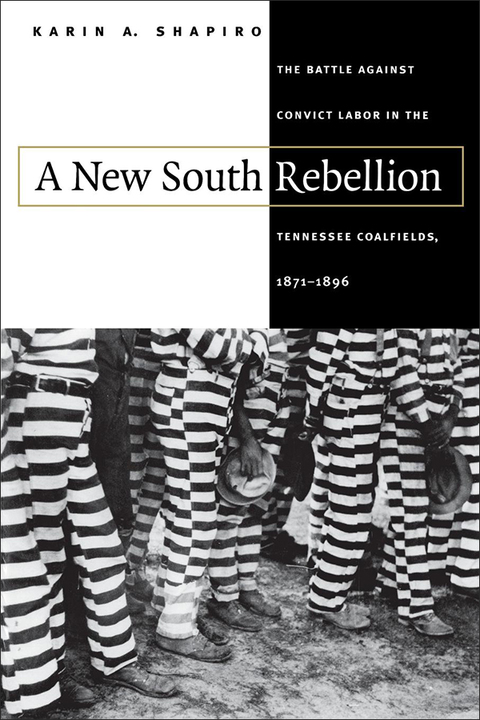Cover image for book A New South Rebellion