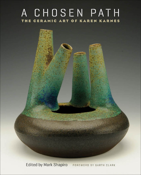 Cover image for book A Chosen Path