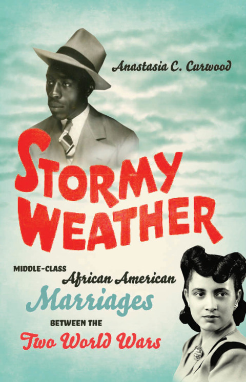 Cover image for book Stormy Weather
