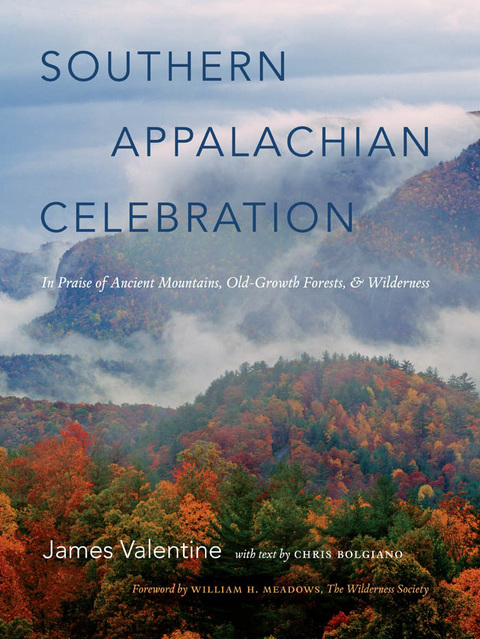 Cover image for book Southern Appalachian Celebration