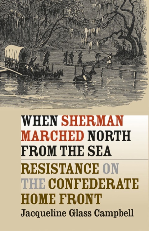 Cover image for book When Sherman Marched North from the Sea