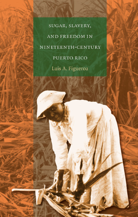 Cover image for book Sugar, Slavery, and Freedom in Nineteenth-Century Puerto Rico