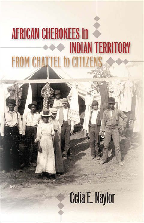 Cover image for book African Cherokees in Indian Territory