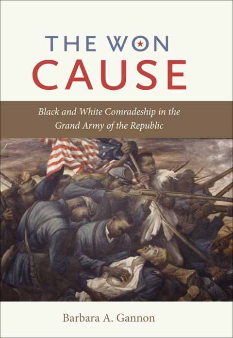 Cover image for book The Won Cause