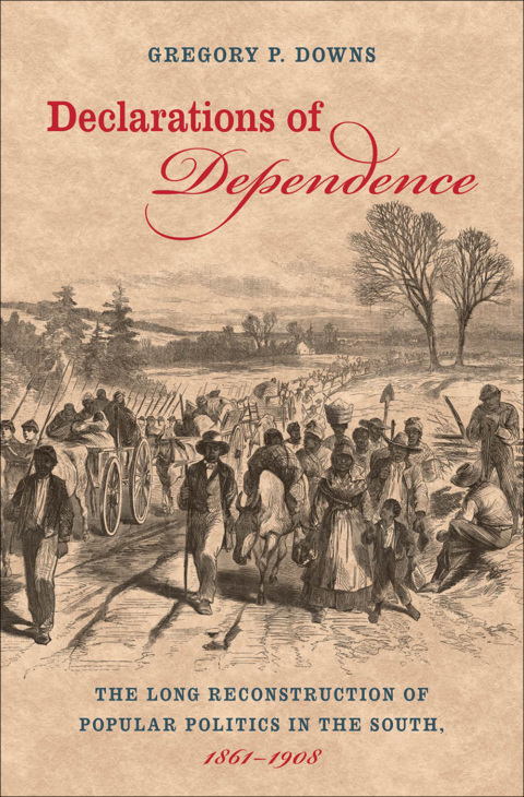 Cover image for book Declarations of Dependence