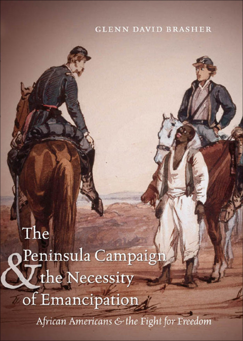 Cover image for book The Peninsula Campaign and the Necessity of Emancipation