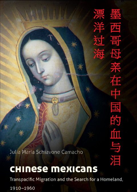 Cover image for book Chinese Mexicans